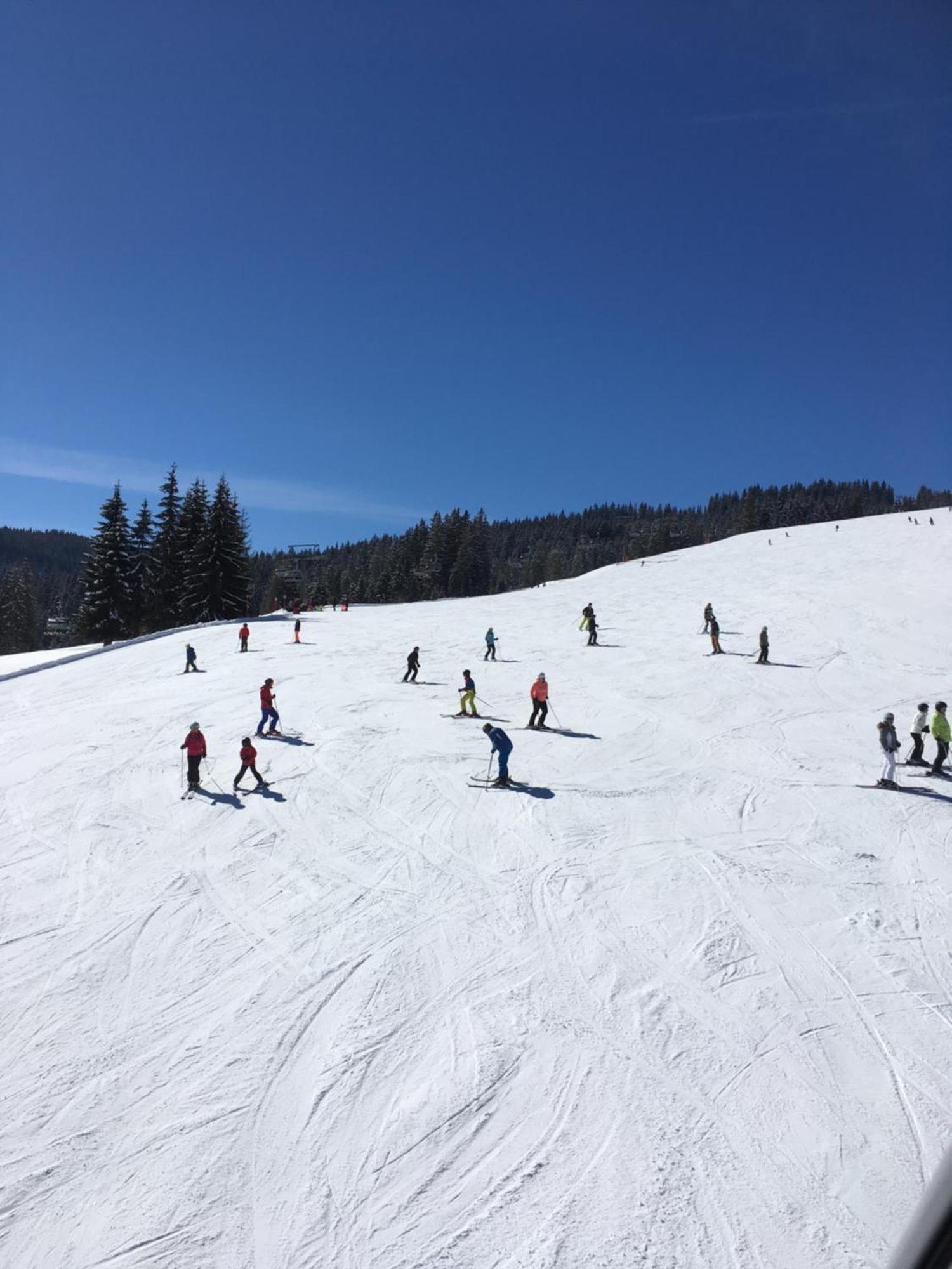 Apartamento - Vollholz Im Zentrum Von Flachau